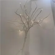 みかみかの画像