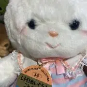 BUBU♡の画像