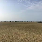 森々