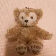 ふわりの画像