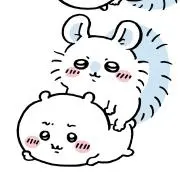 こはねの画像