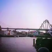 みの画像