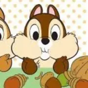 チップの画像