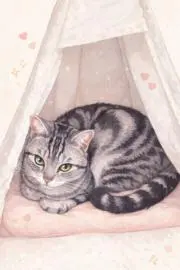 あきぼんの画像
