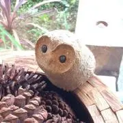ふなみんの画像