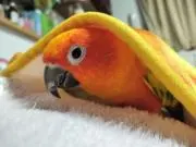 もぐきた※おまとめは4点以上️から⭕️※