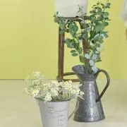 tamaの画像