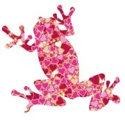 ピンクのカエルの画像