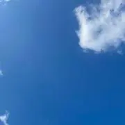 moriの画像
