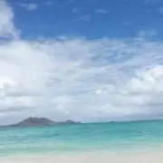 ひなひなの画像
