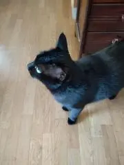 なんちゃって広之