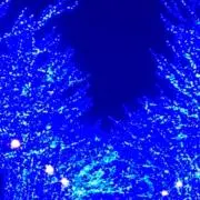 安藤カケルの画像