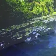 ひるねこプロフみてねの画像