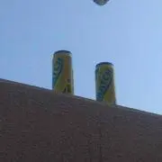たけのこ