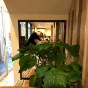 Ariruの画像