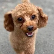 ⭐︎レオ⭐︎の画像