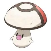 tamachanの画像