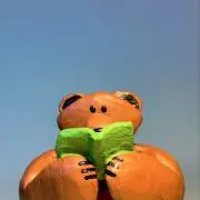 たろきちの画像