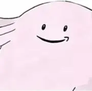 鎧ちゃんの画像