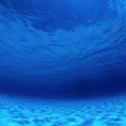 mariの画像