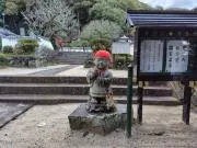 ポンさんの画像