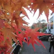 Rn ［断捨離中］の画像