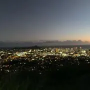 y13aの画像