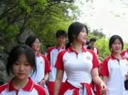 叶兄弟