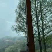 ブルースの画像