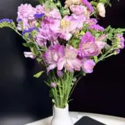 ジョワシュの画像