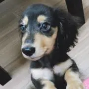 yuの画像