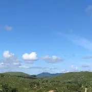 まみの画像