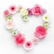 Roseの画像