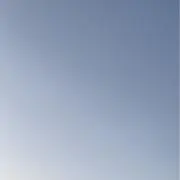 きゃたぬの画像