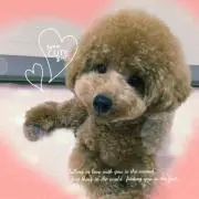 ☆Ichi☆の画像