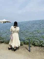 めーの画像