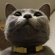 もけもけのもけ
