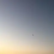K.