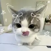 りすの画像