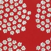 プケッティ☆リピ割ありの画像