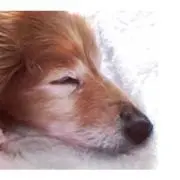 可愛いモノが好き♡*゜少しずつ出品☺︎の画像