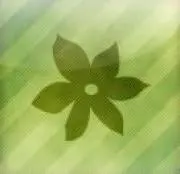rokuhaの画像