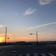 みーたんの画像