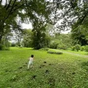 ゆうの画像