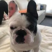 COCO mamaの画像