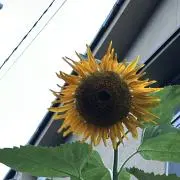 とい