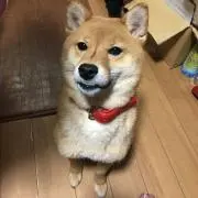 まいん