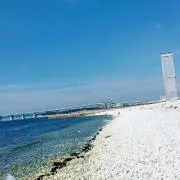 kazu