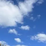 Ⓜ️の画像