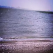 Pfnrzの画像